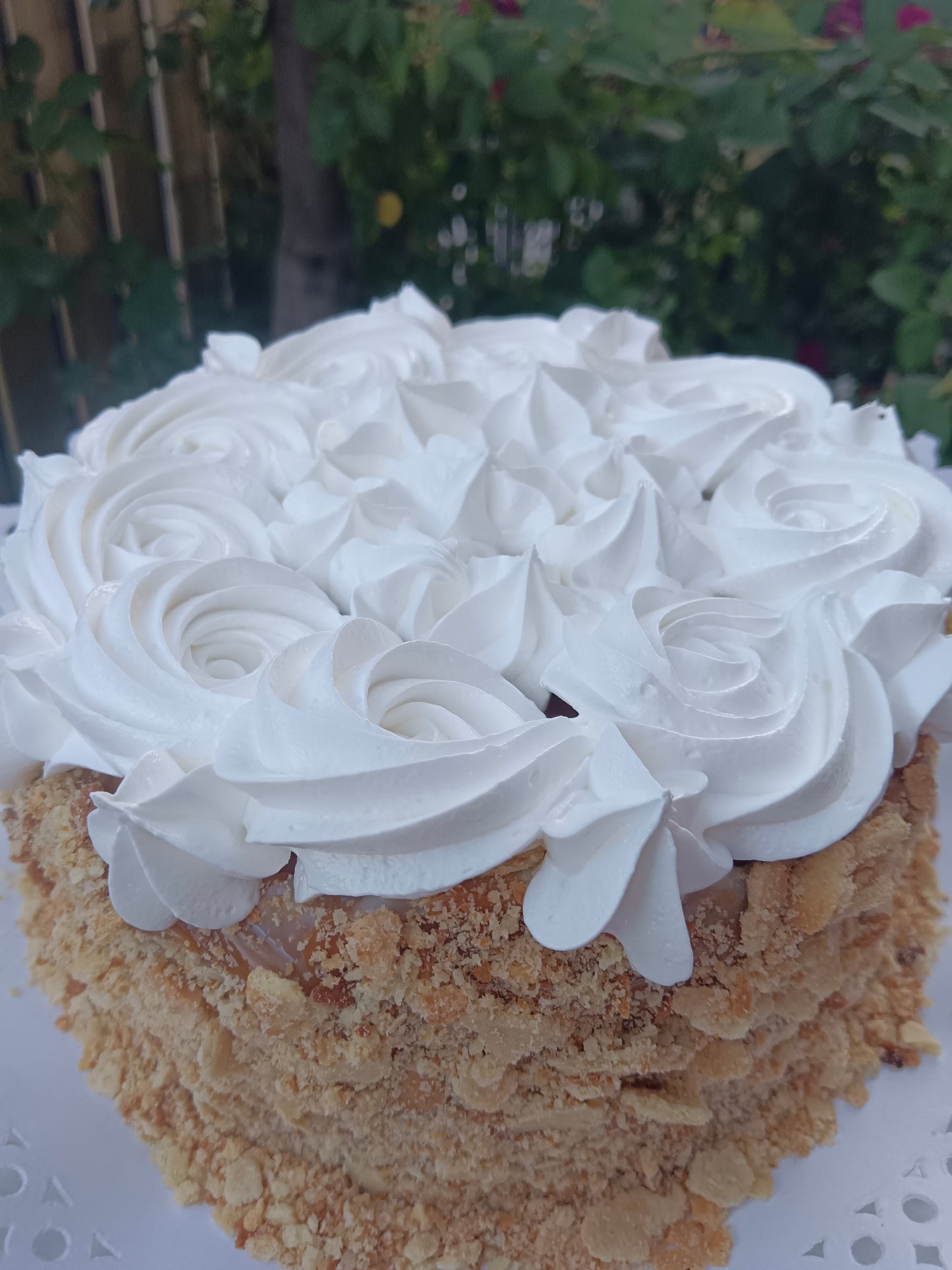 Torta Trasnochada
